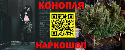 тгк Пугачёв