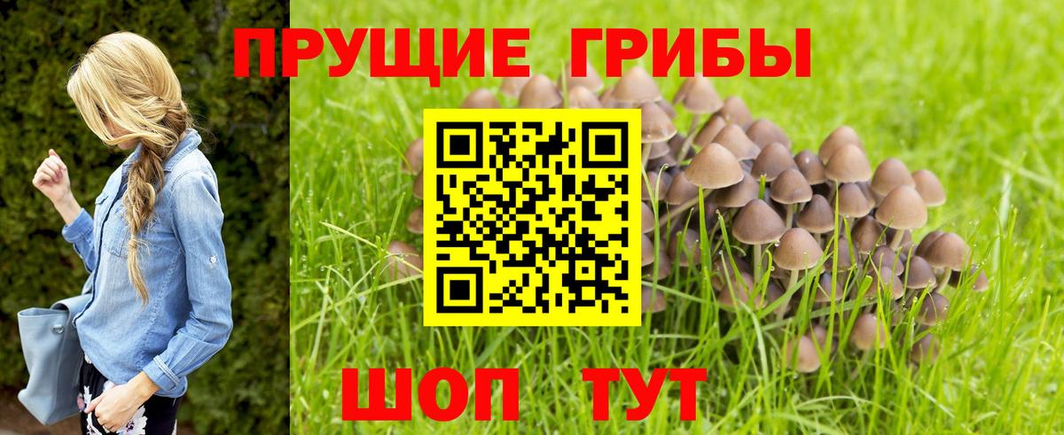 Псилоцибиновые грибы мицелий  закладка  Ростов-на-Дону  Галлюциногенные грибы Magic Shrooms  Вход с VPN 